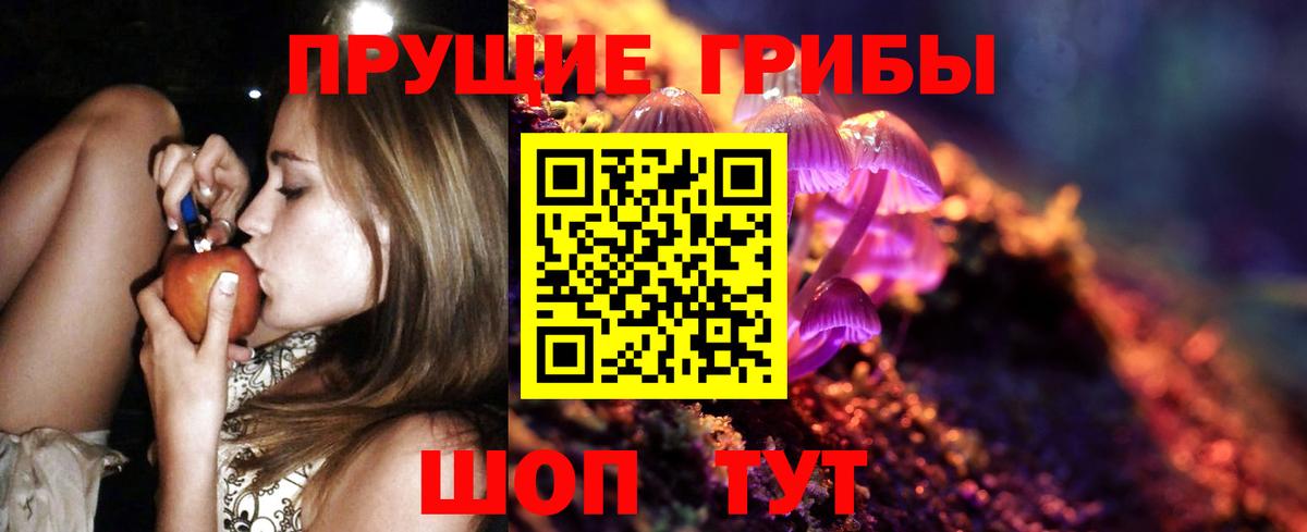 Псилоцибиновые грибы Psilocybe  Вход с VPN  Ессентуки 